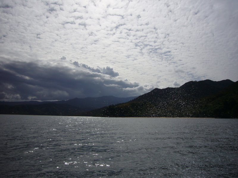 From the boat back home